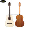 dan-guitar-classic-cordoba-c5-sp-3