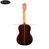 Đàn Guitar Classic Cordoba C7 CD nhỏ phù hợp với mọi độ tuổi, dễ bấm và chạy phím