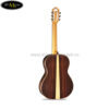 dan-guitar-classic-famosa-fc-100c (2)