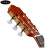 dan-guitar-classic-famosa-fc-20c-580 (3)