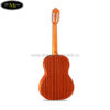 dan-guitar-classic-famosa-fc-20c-636 (2)