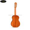 dan-guitar-classic-famosa-fc-25c (2)