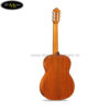 dan-guitar-classic-famosa-fc-50c (2)