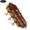 dan-guitar-classic-famosa-fc-50c (3)