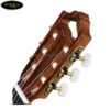 dan-guitar-classic-famosa-fc-70c (3)