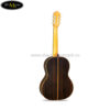 dan-guitar-classic-famosa-fc30c-636 (2)