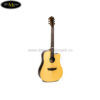 dan-guitar-dream-maker-55 (4)