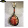 dan-mandolin-ma005 (3)