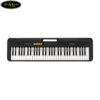 dan-organ-casio-casiotone-ct-s100 (1)