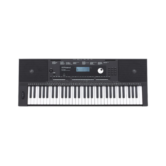 Đàn organ Roland E-X20