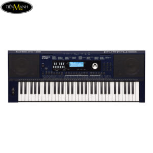 Đàn Organ Roland E-X30