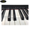 dan-piano-dien-casio-px-770 (4)
