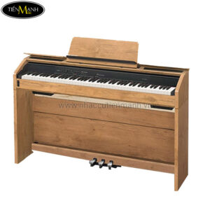 Đàn Piano Điện Casio PX-800