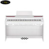 dan-piano-dien-casio-px-860 (3)