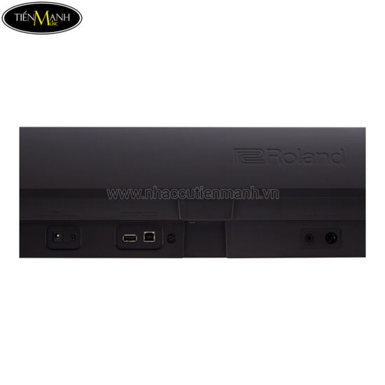 Đàn Piano Điện Roland FP-10, Digital Piano - Ảnh 3
