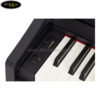 dan-piano-dien-roland-rp-102
