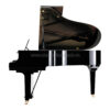 dan-piano-grand-yamaha-c3x-pe-(3)