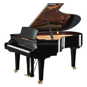 Đàn Piano Grand Yamaha S5X PE