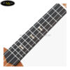dan-ukulele-anuenue-soprano-u900 (5)
