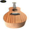 dan-ukulele-concert-bws-23-inch-b01-23 (3)