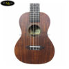 dan-ukulele-diana-concert-dc-70 (5)