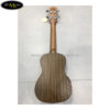 dan-ukulele-dream-maker-uk-24b-eq (4)