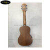dan-ukulele-dream-maker-uk-24c-eq (2)