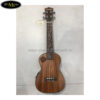 dan-ukulele-dream-maker-uk-24c-eq (4)