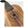 dan-ukulele-dream-maker-uk-24d-eq (2)