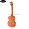 dan-ukulele-kaka-soprano-kus-25d (2)