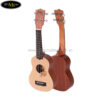 dan-ukulele-kaka-soprano-kus-fl (3)