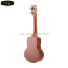 dan-ukulele-kaka-soprano-kus-fl (5)
