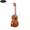 dan-ukulele-kala-concert-ka-c (3)