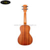 dan-ukulele-kala-concert-ka-c (4)