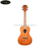 dan-ukulele-kala-concert-ka-cem (1)