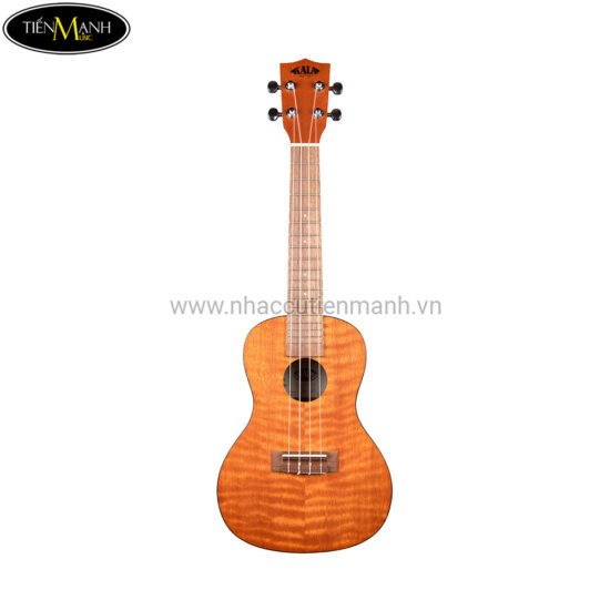 dan-ukulele-kala-concert-ka-cem (1)