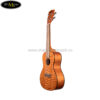 dan-ukulele-kala-concert-ka-cem (2)