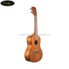 dan-ukulele-kala-concert-ka-cem (3)