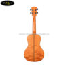 dan-ukulele-kala-concert-ka-cem (4)