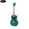 dan-ukulele-kala-concert-ka-cemb (2)