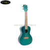 dan-ukulele-kala-concert-ka-cemb (3)