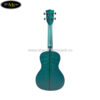 dan-ukulele-kala-concert-ka-cemb (4)