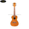 dan-ukulele-kala-concert-ka-ceme-co-eq (1)