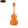 dan-ukulele-kala-concert-ka-ceme-co-eq (4)