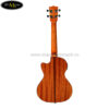 dan-ukulele-kala-tenor-ka-ste-c-co-eq (4)