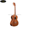 dan-ukulele-kala-tenor-ka-te-co-eq (3)