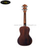 dan-ukulele-lanikai-concert-lu-21c (2)