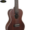 dan-ukulele-lanikai-concert-lu-21c (3)