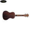 dan-ukulele-lanikai-concert-lu-21c (4)
