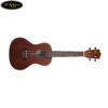 dan-ukulele-lanikai-concert-lu-21c (5)